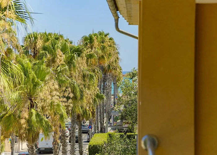 Son Janer كان بيكافورت